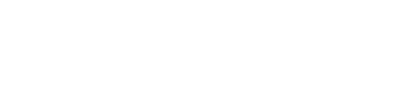 Octopus AI